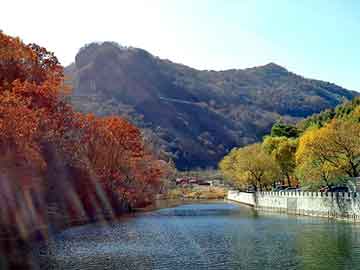 管家婆黑白马报图库，芙蓉二代